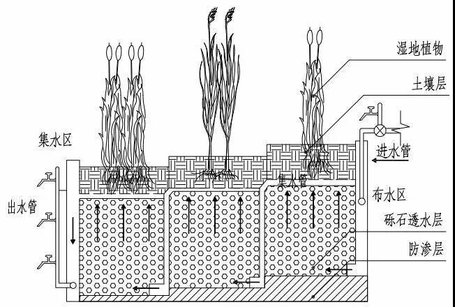 人工濕地污水處理工藝